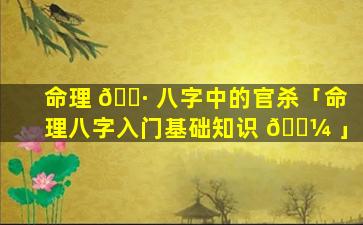 命理 🌷 八字中的官杀「命理八字入门基础知识 🌼 」
